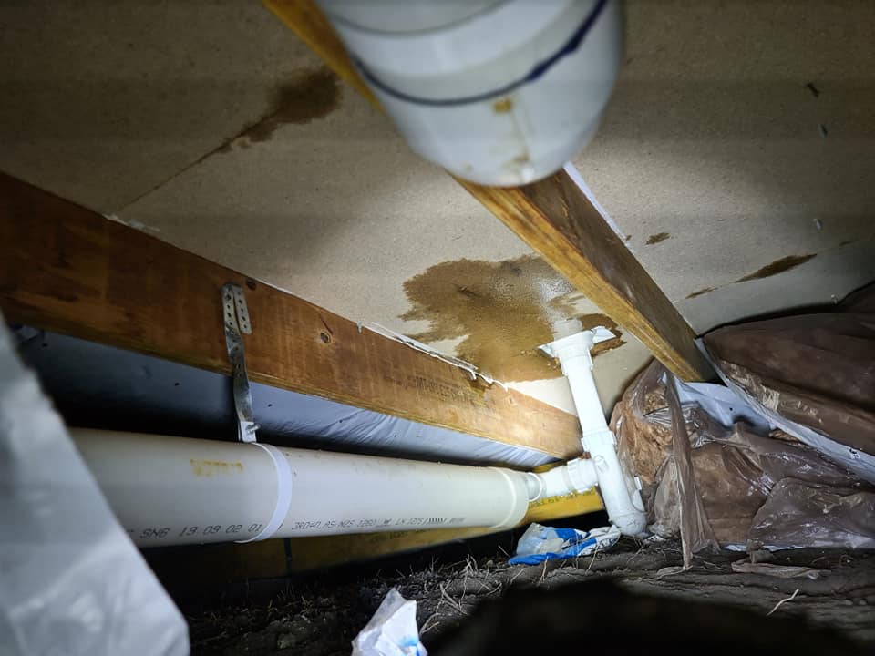 Bathroom leak under house with moisture damage found during Hobart building inspection