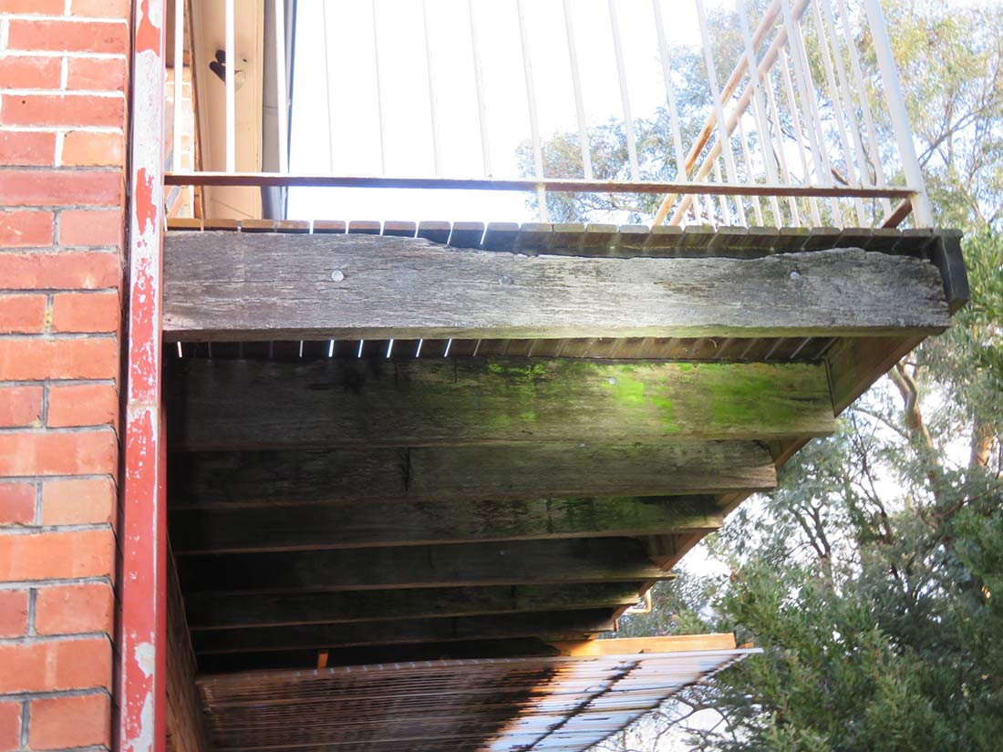 Algae growth and weathering on a hardwood bearer — early timber decay